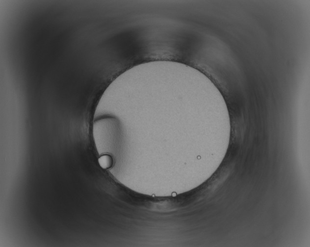 X0000100480309200807111107