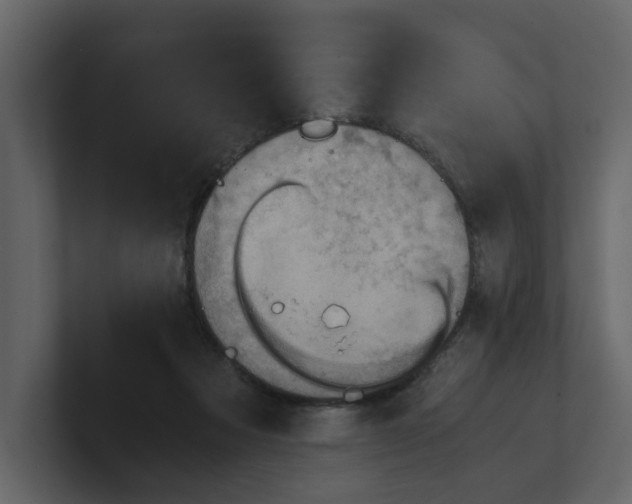 X0000100480313200807111107