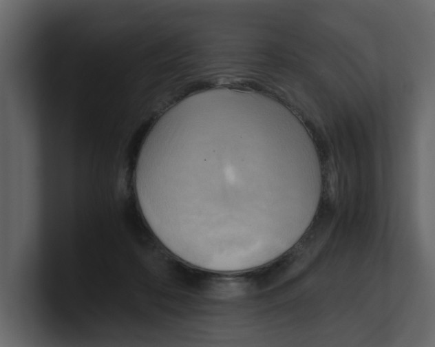 X0000100480316200807111107