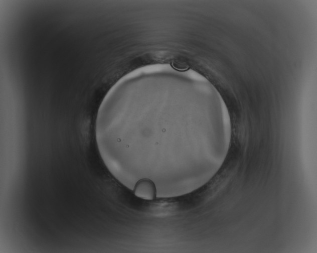 X0000100480319200807111107