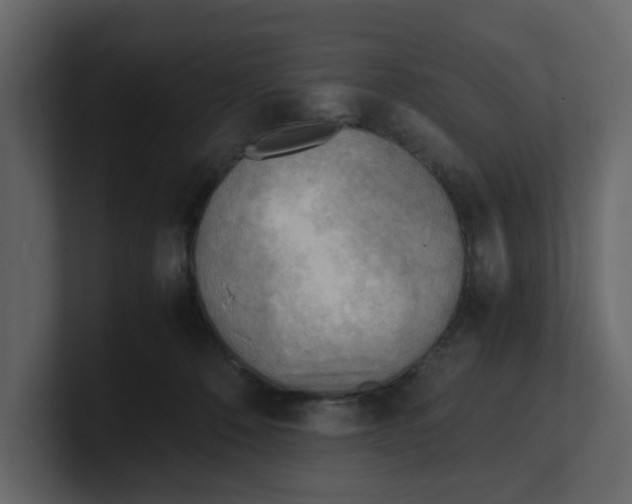 X0000100480320200807111107