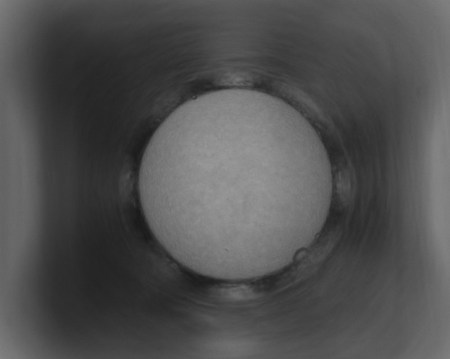 X0000100480322200807111107