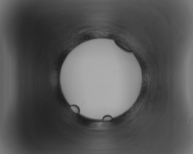 X0000100480323200807111107