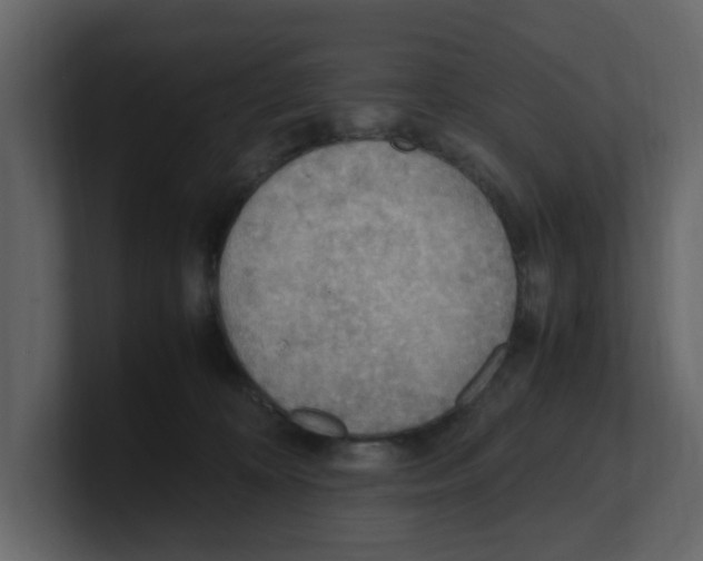 X0000100480324200807111107