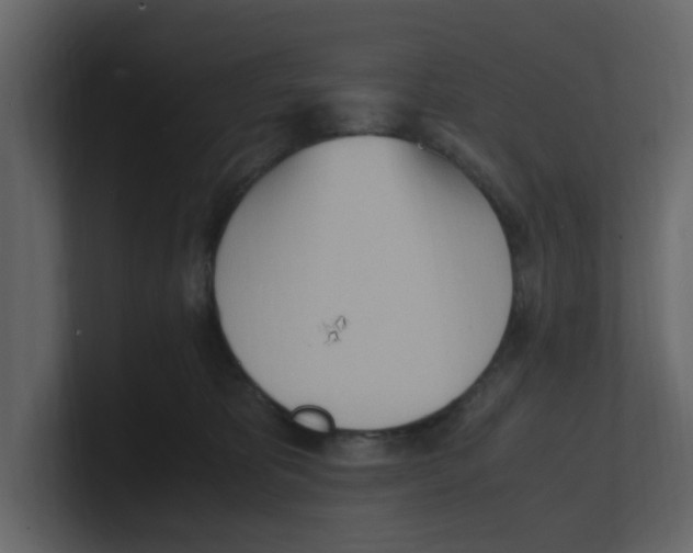 X0000100480325200807111107