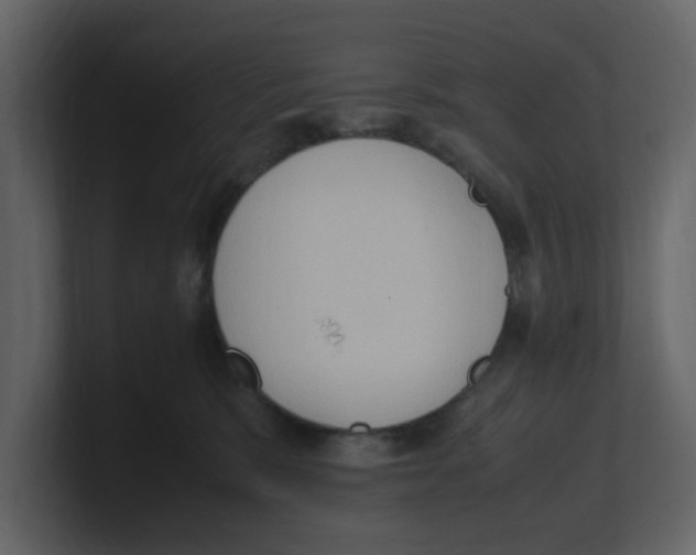 X0000100480327200807111107