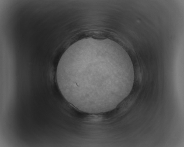 X0000100480328200807111107