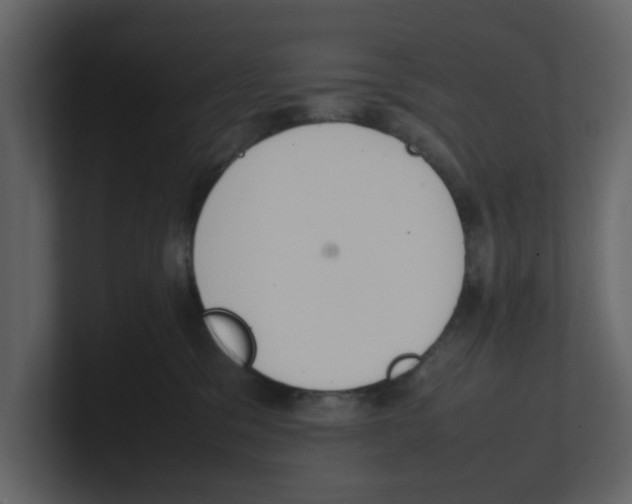 X0000100480329200807111107