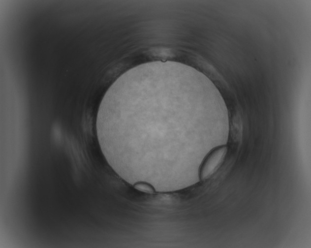 X0000100480330200807111107