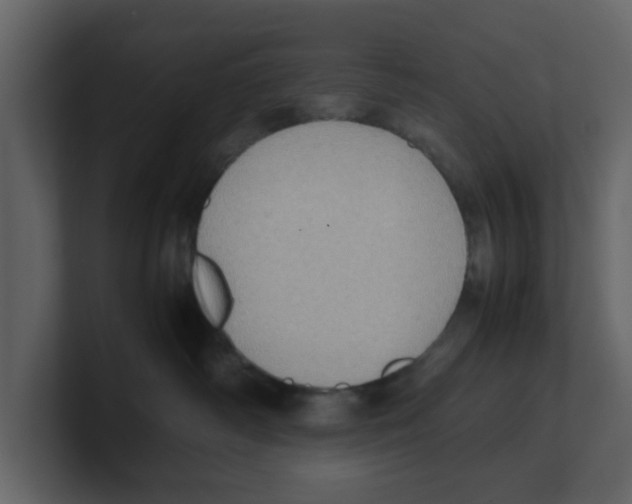 X0000100480334200807111106