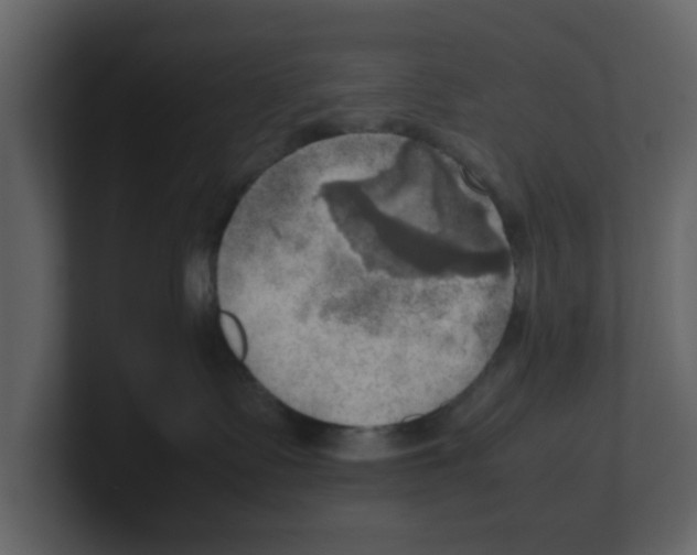 X0000100480335200807111106