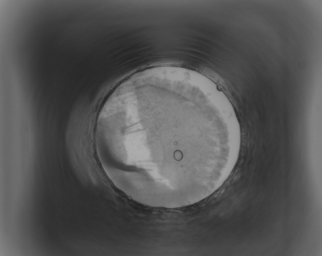 X0000100480337200807111106