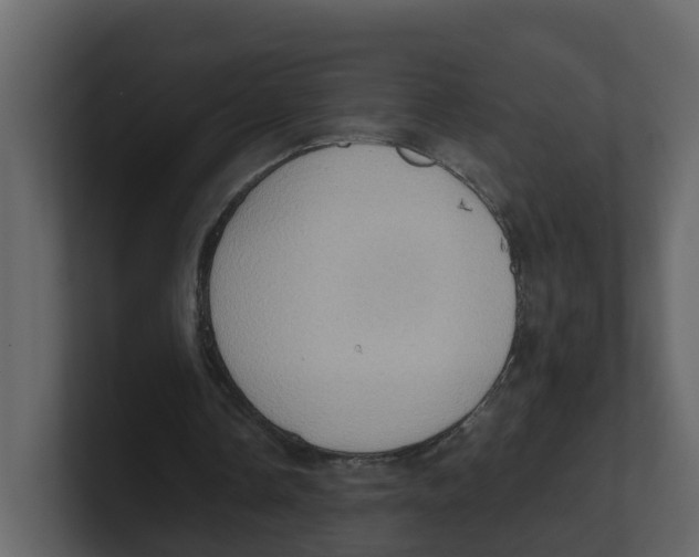 X0000100480338200807111106