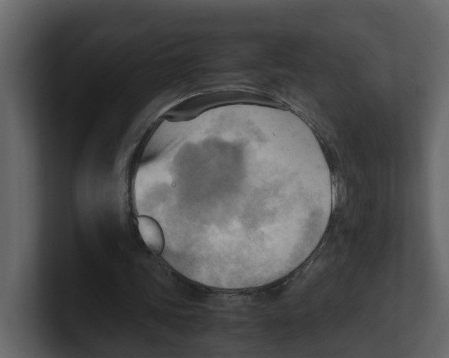 X0000100480339200807111106