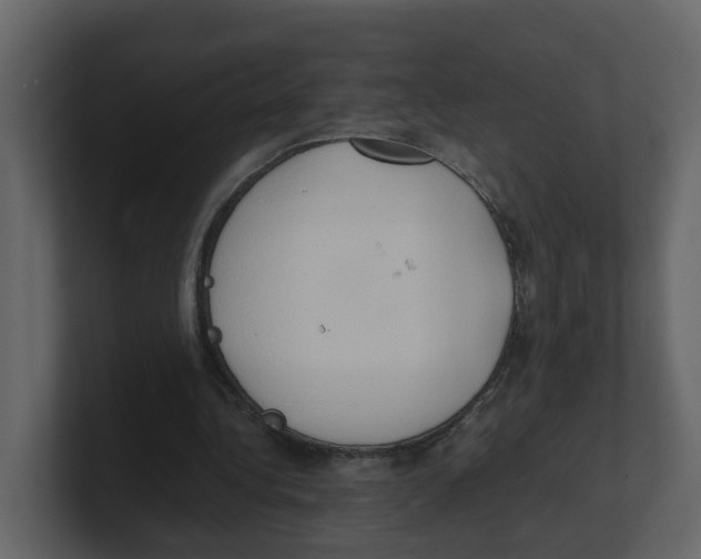 X0000100480340200807111106