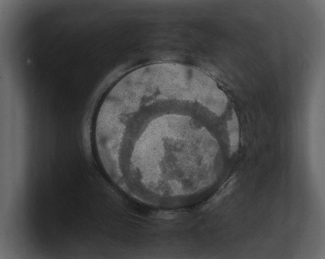 X0000100480341200807111106