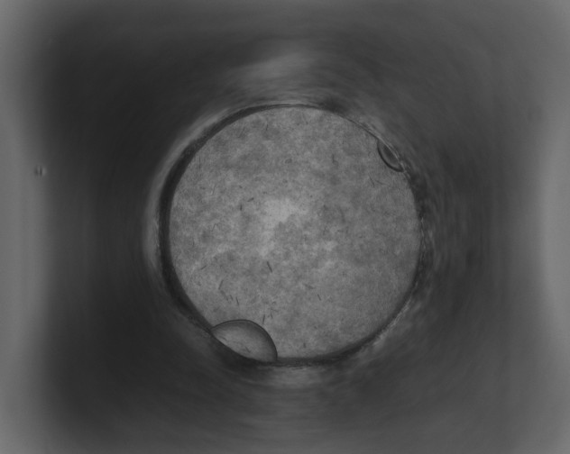 X0000100480342200807111106