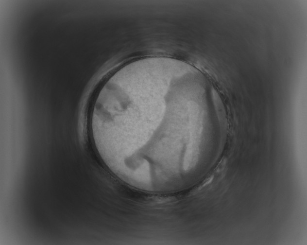 X0000100480343200807111106