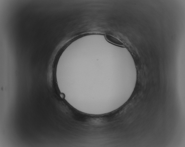 X0000100480344200807111106