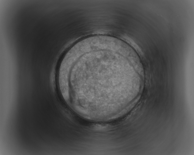 X0000100480346200807111106