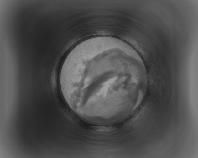 X0000100480347200807111106