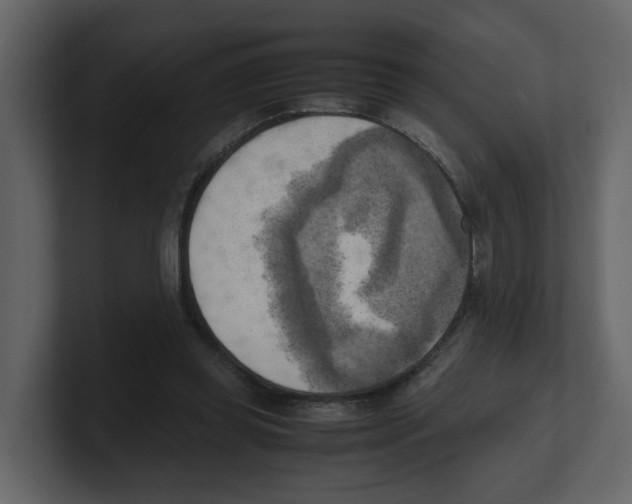 X0000100480349200807111106