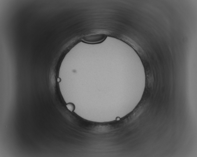 X0000100480350200807111106