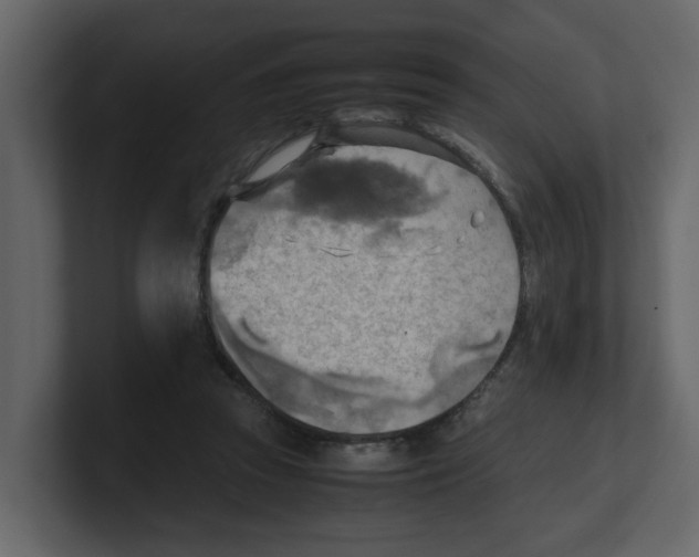 X0000100480353200807111106