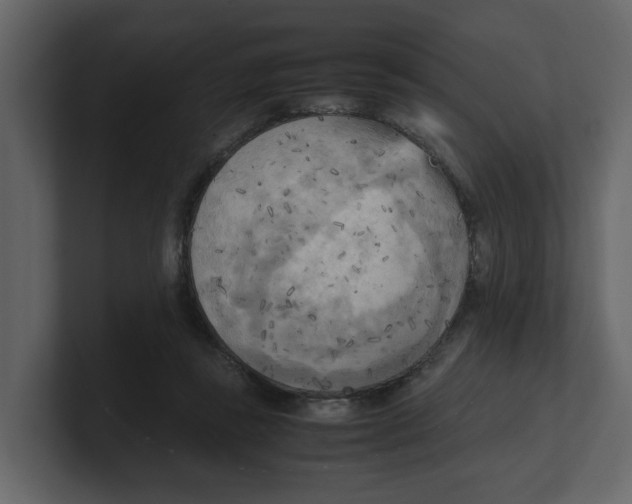 X0000100480355200807111106