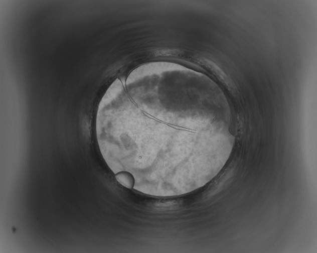 X0000100480357200807111106