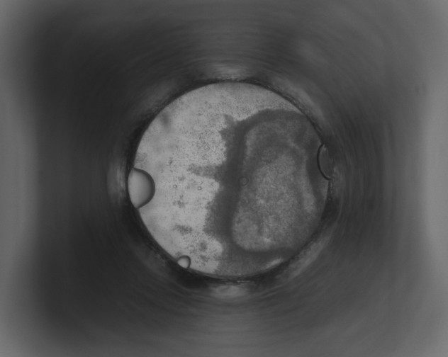 X0000100480358200807111106