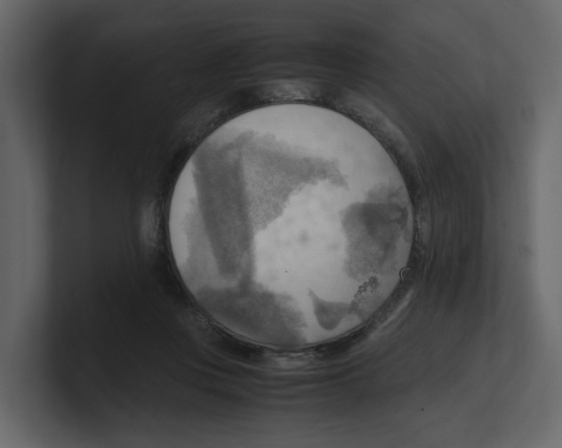 X0000100480359200807111106