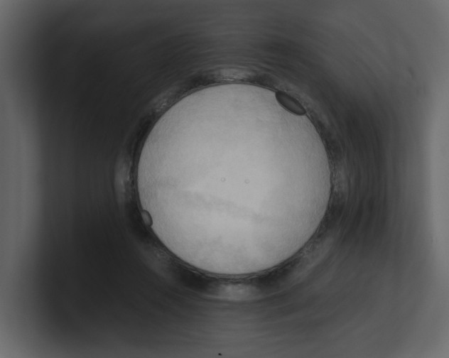 X0000100480360200807111106