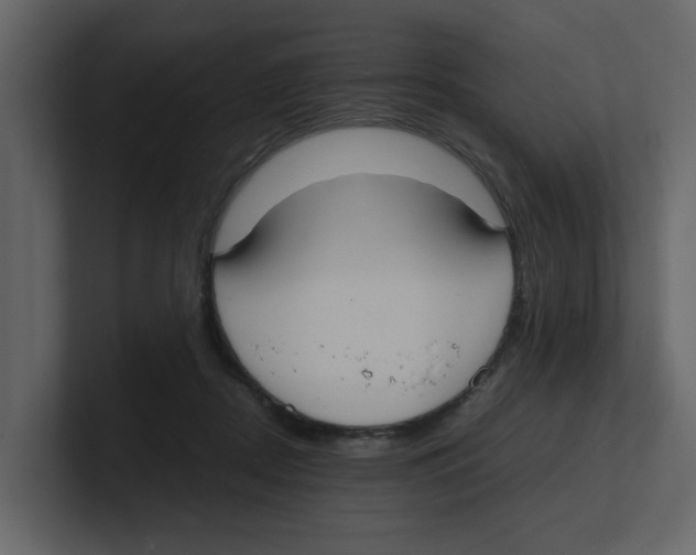 X0000100480362200807111106