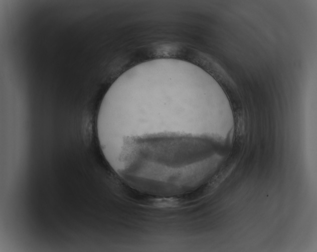 X0000100480363200807111106