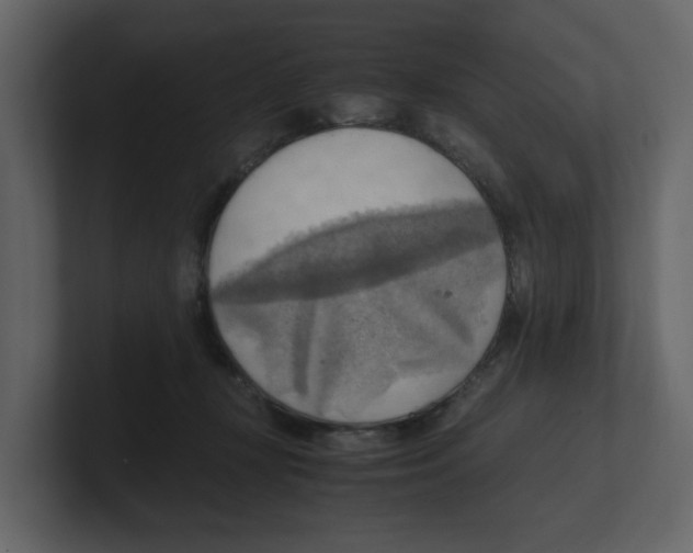 X0000100480367200807111106