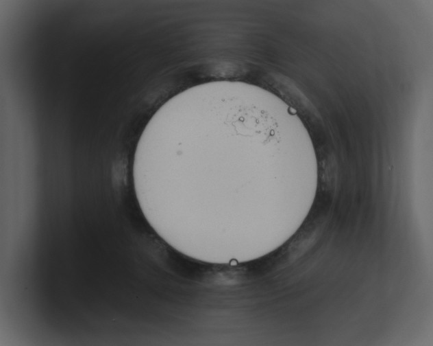 X0000100480368200807111106