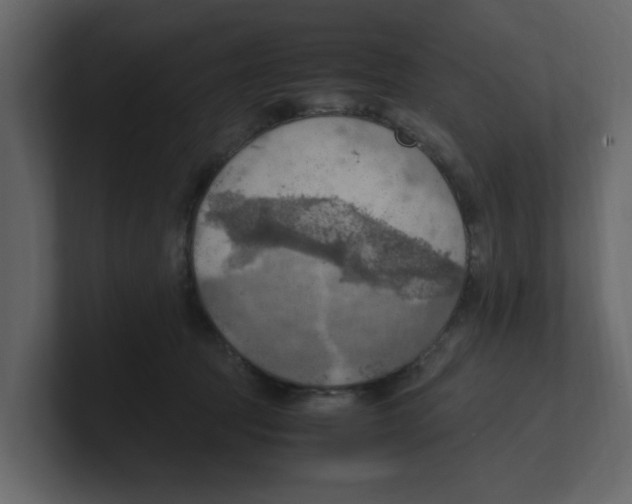 X0000100480369200807111106