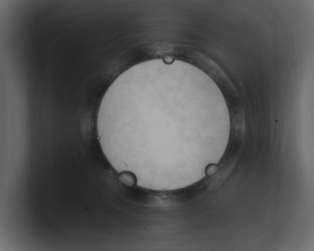 X0000100480372200807111106