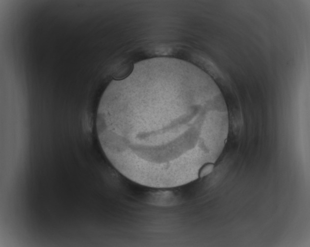 X0000100480374200807111106