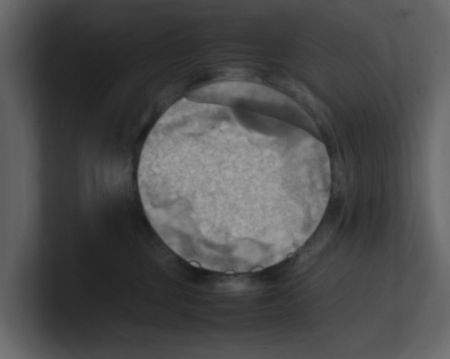 X0000100480377200807111106