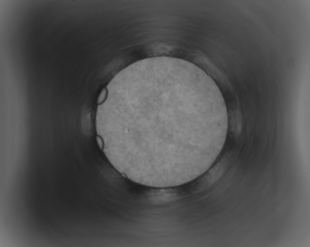 X0000100480378200807111106