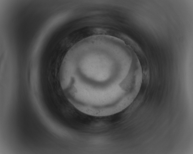 X0000100480381200807111106