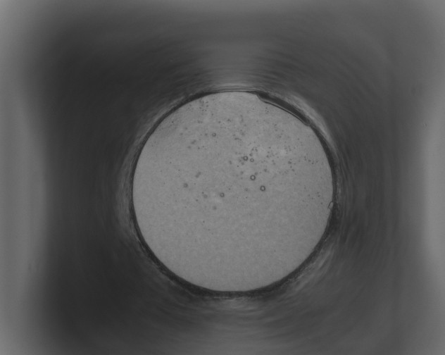 X0000100480385200807111106