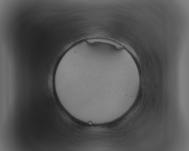 X0000100480389200807111106