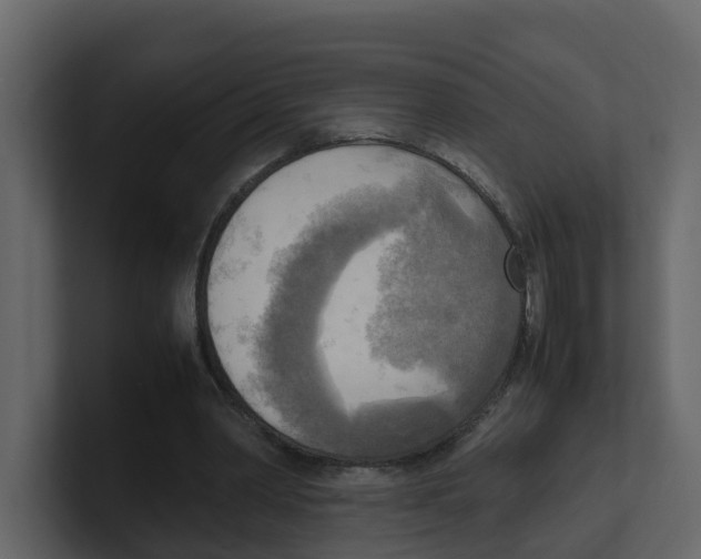 X0000100480390200807111106