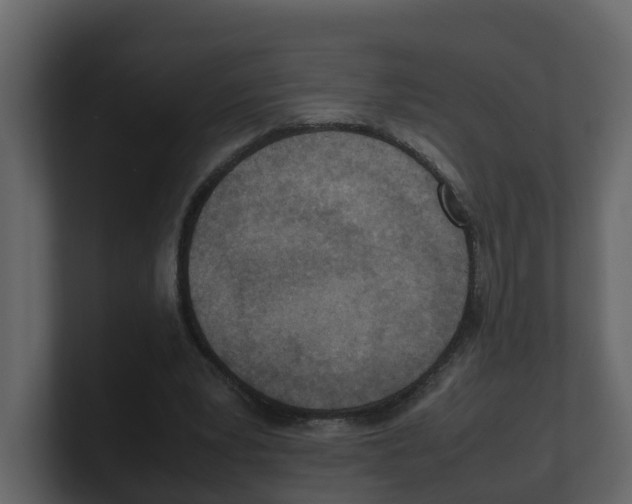 X0000100480391200807111106