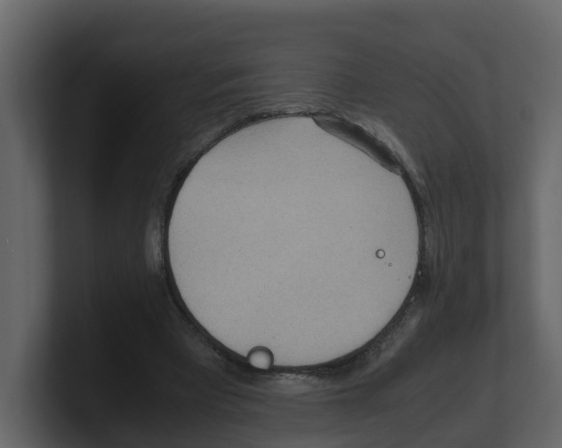 X0000100480393200807111106