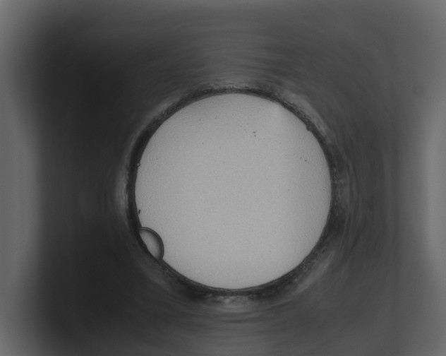 X0000100480395200807111106