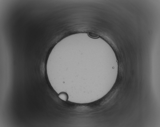 X0000100480397200807111106